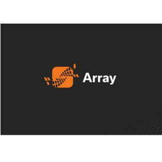 Array APV x900 系列