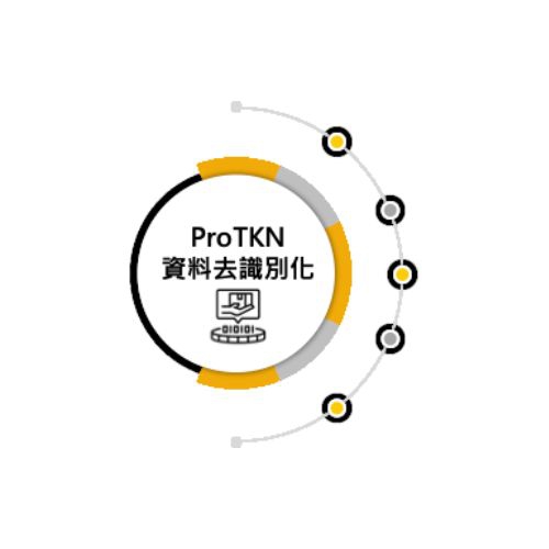 資料去識別化 ProTKN解決方案